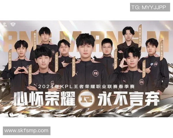 王者荣耀专题深度解析RNG战队的技术优势与战术策略