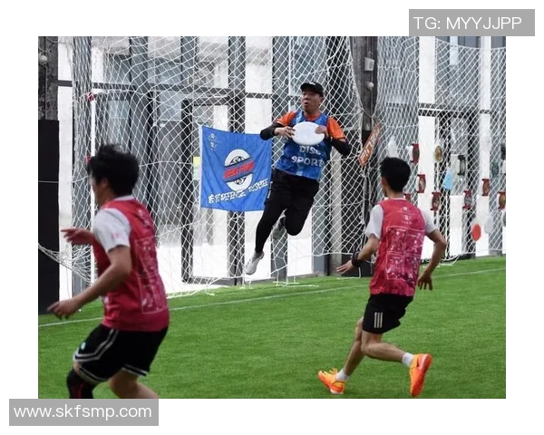 深圳飞盘队的灵活性分析与战术创新研究探讨