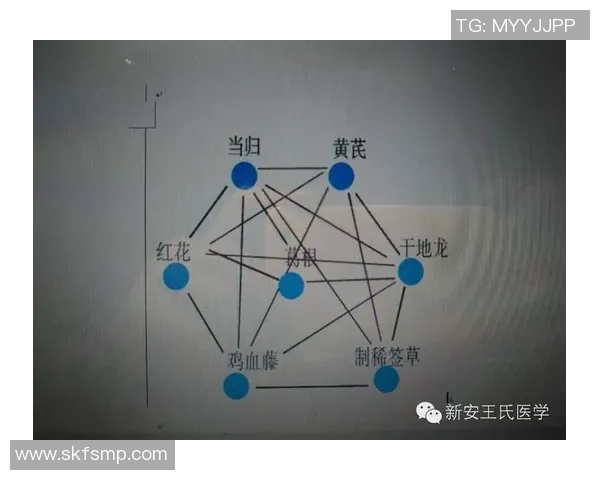 武汉乒乓球队在联合会杯中的比赛经验与表现分析