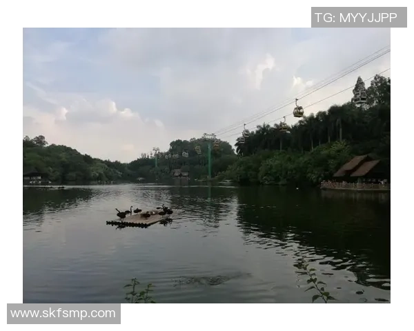 挑战赛特别报道：广州篮球队的逆袭之旅