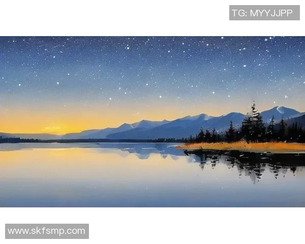 法国足球明星的璀璨星空与他们的辉煌成就探秘 法国足球明星的璀璨星空与他们的辉煌成就探秘